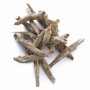 PERRO friandise pour chat aux anchois