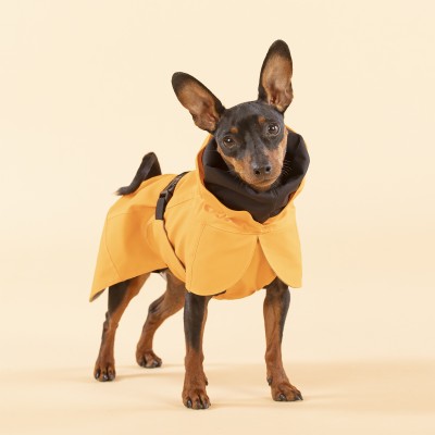 Veste Imperméable de Visibilité & Récupération Orange pour Chien - PAIKKA