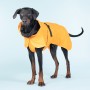 Veste Imperméable de Visibilité & Récupération Orange pour Chien - PAIKKA