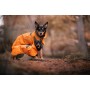 Veste Imperméable de Visibilité & Récupération Orange pour Chien - PAIKKA