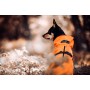 Veste Imperméable de Visibilité & Récupération Orange pour Chien - PAIKKA