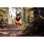 Veste Imperméable de Visibilité & Récupération Orange pour Chien - PAIKKA