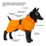 Veste Imperméable de Visibilité & Récupération Orange pour Chien - PAIKKA