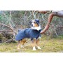 Veste Imperméable de Visibilité pour Chien - PAIKKA