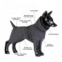 Veste Imperméable de Visibilité pour Chien - PAIKKA