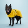 Veste Imperméable Légère de Visibilité pour Chien - PAIKKA