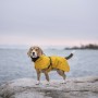 Veste Imperméable Légère de Visibilité pour Chien - PAIKKA