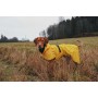 Veste Imperméable Légère de Visibilité pour Chien - PAIKKA