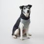 Pull d'Hiver de Récupération Gris pour Chien