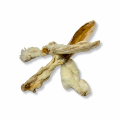 Oreilles de Lapin avec Poils  - Bredel Dog