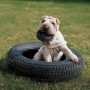 Jouet Pneu à Mâcher pour Chien - Tires KONG