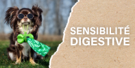 Perro croquettes chiens avec sensibilités digestives