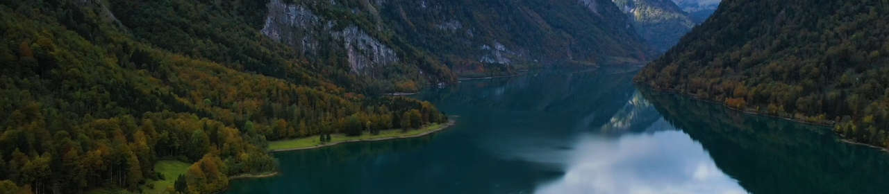 Friandise Chien Tendon Autruche DeliBest