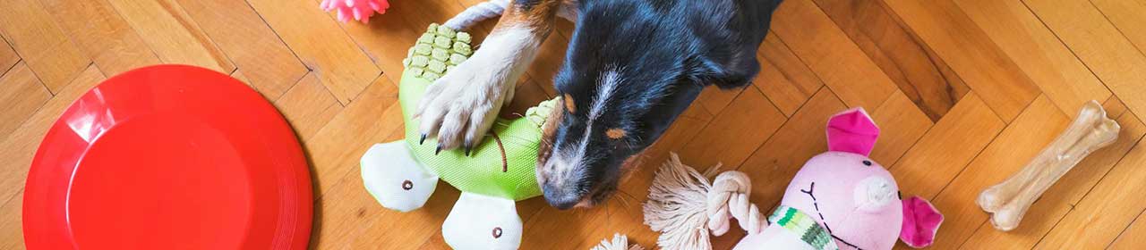 Peluche Chien 'Woodland Big Smille' | All For Paws