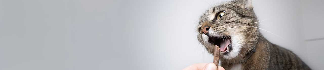 Friandise Cat Soft Meaty Poulet pour Chat | DeliBest