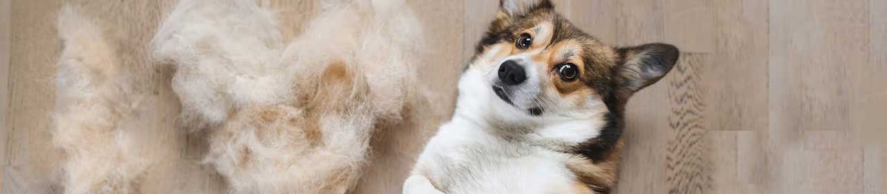 Spray Melaflon Habitat Anibio