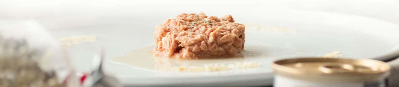 Topping Sauce Poulet pour Chien & Chat | Perro