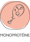 monoproteines