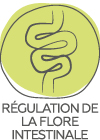 regulation de la flore intestinale